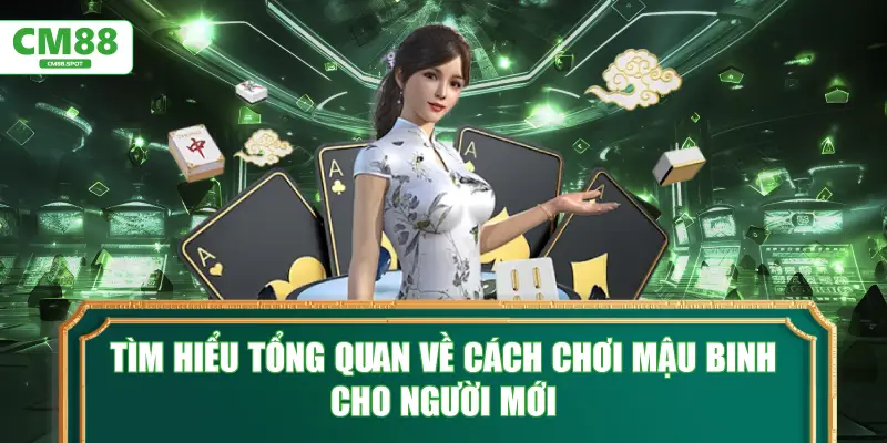 Tìm hiểu tổng quan về cách chơi Mậu Binh cho người mới